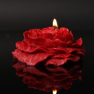 Skin-Safe Low-Temperature Rose Candle