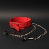Choker with Metal Chain Nipple Clamps