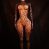 Forbidden Fruit-Open-Crotch High-Stretch Mesh Bodysuit
