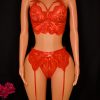 Scarlet Strap Crop & Garter Set